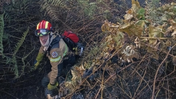 Imagem de Proteção Civil registou 114 incêndios rurais desde 1 de junho (áudio)