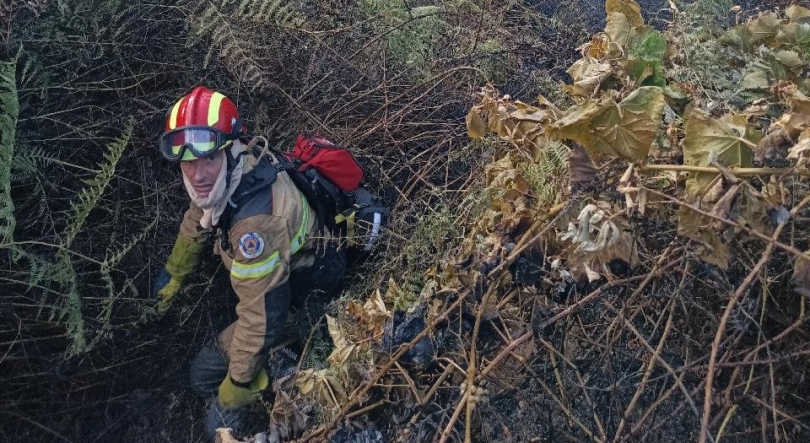 Proteção Civil alerta para aumento do perigo de fogos rurais na Madeira