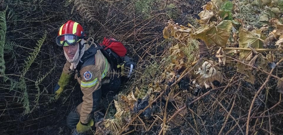 Proteção Civil alerta para aumento do perigo de fogos rurais na Madeira