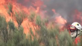 Imagem de Fogo obriga a evacuar cinco aldeias de Pedrógão Grande