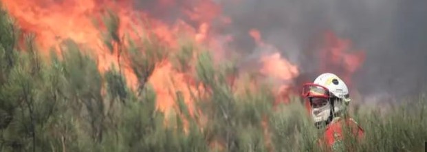 Imagem de Fogo obriga a evacuar cinco aldeias de Pedrógão Grande