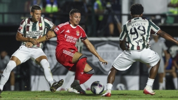 Imagem de Benfica em dificuldades para superar o Amadora