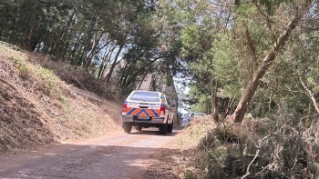 Imagem de Santa Cruz cria zonas para posicionar meios em caso de incêndios (vídeo)