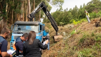 Imagem de Santa Cruz cria faixas de gestão de combustível (áudio)