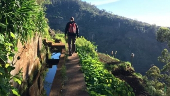 Imagem de Trail da Camacha com quatrocentos atletas (áudio)