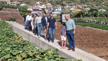 Imagem de PS quer taxa turística ao serviço da paisagem agrícola em Câmara de Lobos (áudio)