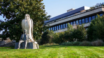 Imagem de Fundação Calouste Gulbenkian vai apoiar quatro projetos para práticas agrícolas (áudio)