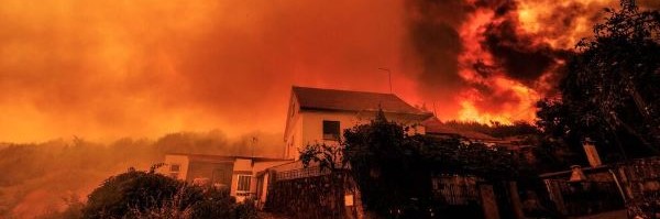 Imagem de Ex-autarca de Vila Franca de Deão morre a combater fogo