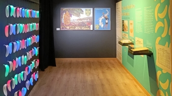 Imagem de Museu da Banana da Madeira promove encontros de artesanato (áudio)
