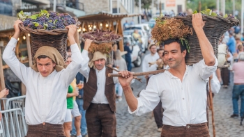 Imagem de Festa da Uva e do Agricultor no Porto da Cruz (áudio)