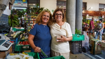 Imagem de Fátima Aveiro diz que falta transportes escolares no Funchal (áudio)