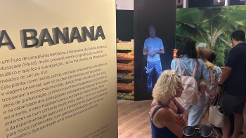 Imagem de Museu da Banana já recebeu 47 mil visitas (vídeo)
