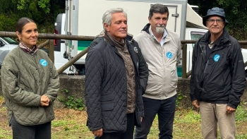 Imagem de CDS defende a valorização dos salários das famílias (vídeo)