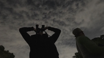 Imagem de Lua de sangue será difícil de observar na Madeira (vídeo)
