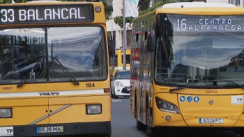 Imagem de Motoristas enaltecem atitude da administração da HF (vídeo)