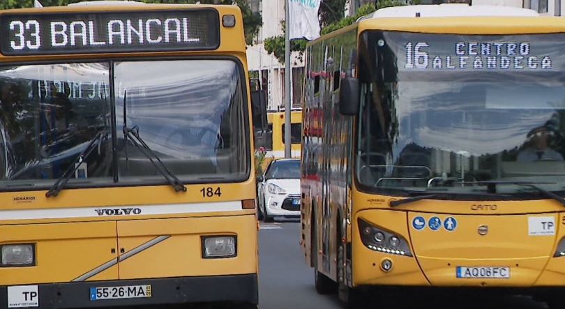 Imagem de Motoristas enaltecem atitude da administração da HF (vídeo)