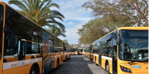 Imagem de Motoristas da Horários do Funchal vão para a greve