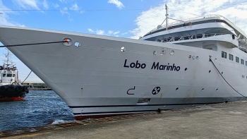 Imagem de Lobo Marinho já saiu para o Porto Santo