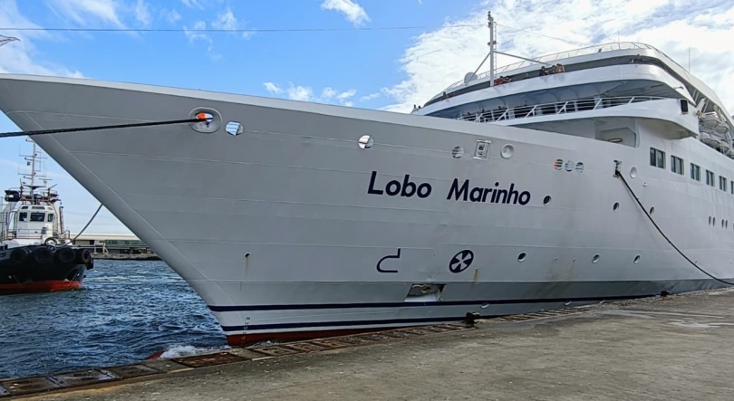 Imagem de Lobo Marinho já saiu para o Porto Santo