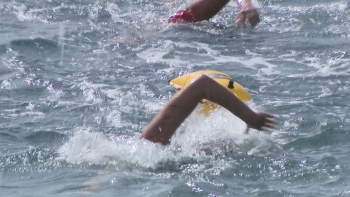 Imagem de Madeira Island Ultra Swim leva centenas ao mar (vídeo)
