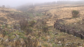 Imagem de Percurso entre os picos Areeiro e Ruivo continua encerrado (vídeo)