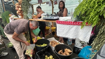 Imagem de Festa do Pêro tem menos produtores presentes (vídeo)