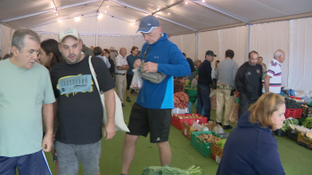 Imagem de Comerciantes criticam falta de condições no Santo da Serra (vídeo)