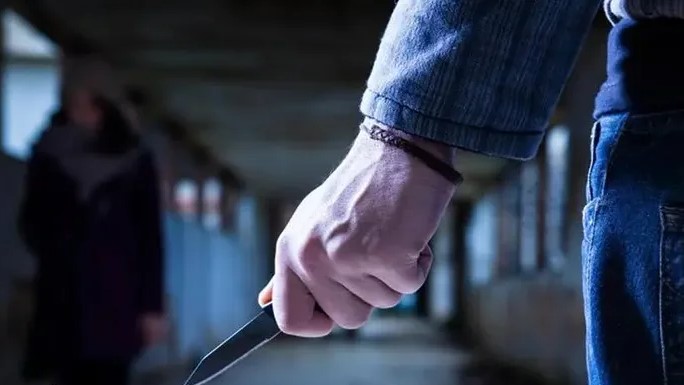 Imagem de PSP encontrou 52 armas nas escolas portuguesas no último ano letivo
