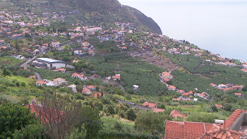 Imagem de Agricultura é aposta dos candidatos à Câmara da Calheta (vídeo)