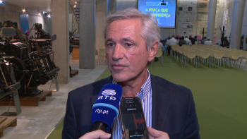 Imagem de CDS-PP não se deve limitar a touradas e contra as minorias (vídeo)