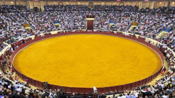 Imagem de Ministério Público abre inquérito a morte de forcado colhido por touro no Campo Pequeno