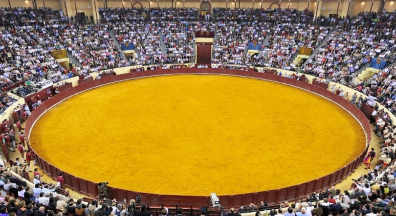 Imagem de Ministério Público abre inquérito a morte de forcado colhido por touro no Campo Pequeno