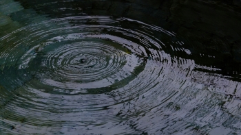 Imagem de Sismo foi mais sentido na costa sul da Madeira (áudio)
