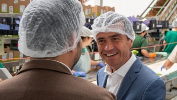 Imagem de Plataforma digital vai permitir à Região candidatar-se aos apoios do PEPAC (áudio)