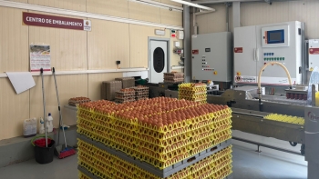 Imagem de 57 milhões de ovos consumidos na Região em 2024 (áudio)