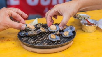 Imagem de Apanha irregular de lapas mais do que quadruplicou (áudio)