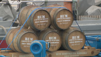 Imagem de Cinco pipas chegaram hoje à Deserta Grande (vídeo)