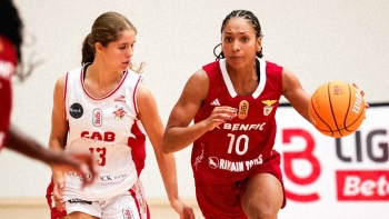 Imagem de Maria João nas escolhas de Ricardo Vasconcelos