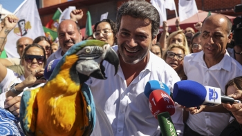 Imagem de Ventura diz que Chega vai “ser sempre um dos vencedores” nestas eleições