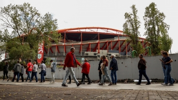 Imagem de Recorde de votantes no Benfica, na Madeira já votaram 356