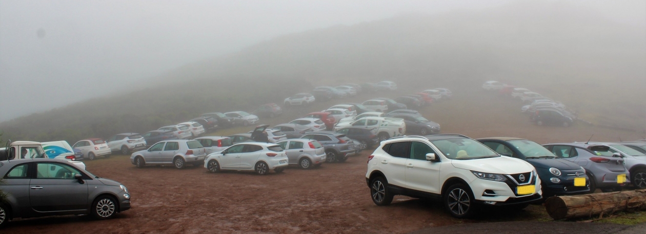 Imagem de Ação de sensibilização destinada aos condutores que alugam carros (áudio)