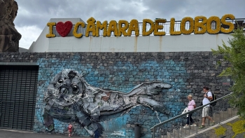 Imagem de Pesca é das principais atividades económicas em Câmara de Lobos (áudio)