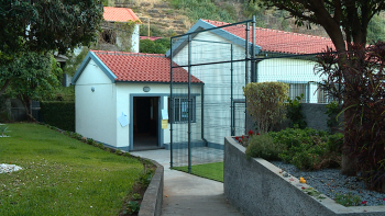 Imagem de Muitos emigrantes e estrangeiros votam na Calheta (vídeo)