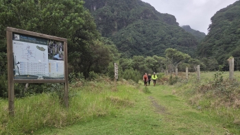 Imagem de Encontro de Canyoning da Madeira 2025 chegou ao fim (vídeo)