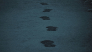 Imagem de Criminalidade é cada vez mais organizada e internacional (vídeo)