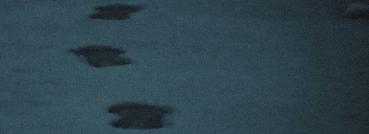 Imagem de Criminalidade é cada vez mais organizada e internacional (vídeo)