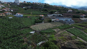 Imagem de Novos caminhos agrícolas e mais apoios aos agricultores na Ponta do Sol (vídeo)