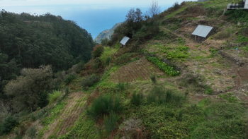 Imagem de Polícia Florestal apreendeu uma máquina escavadora giratória no Arco da Calheta