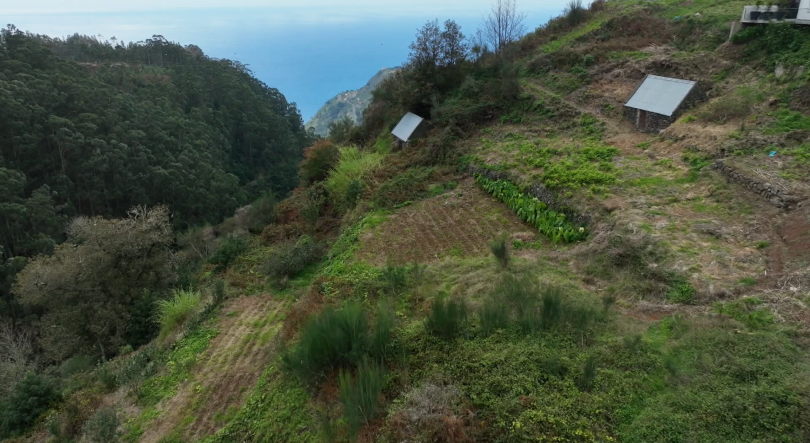 Imagem de Polícia Florestal apreendeu uma máquina escavadora giratória no Arco da Calheta