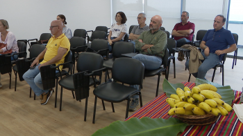 Imagem de Engenheiros agrónomos defendem reserva agrícola (vídeo)
